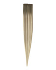 Invisi Tape in Hair Extensions Tuscany Truffle Butter (4/7/80)