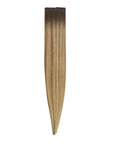 Tape in Hair Extensions (2/4/27)