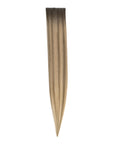 Invisi Tape in Hair Extensions (2/4/27)
