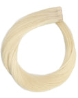 Tape in Hair Extensions London Frost (60)